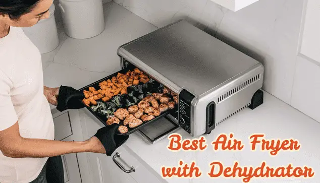 Best Air Fryer with Dehydrator