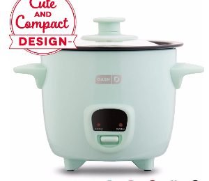 dash mini rice cooker and steamer 2021