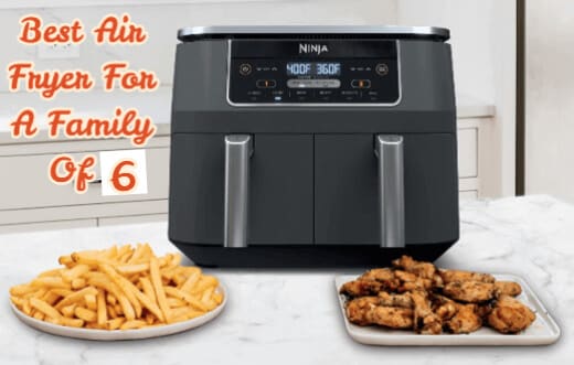 Best Air Fryer For A Family of 6