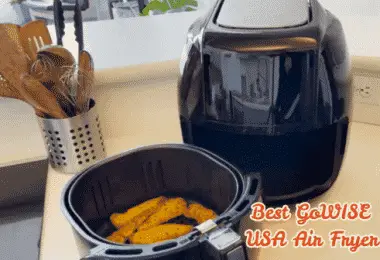 Best GoWISE USA Air Fryer