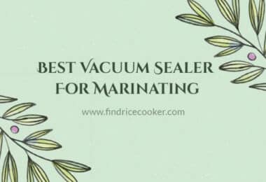 Best Vacuum Sealer For Marinating