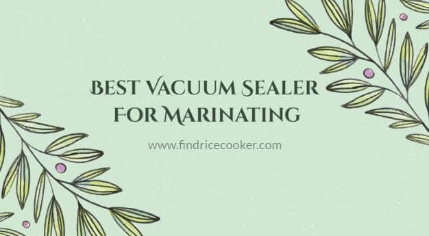 Best Vacuum Sealer For Marinating