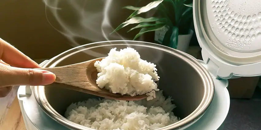 best sushi rice cookers