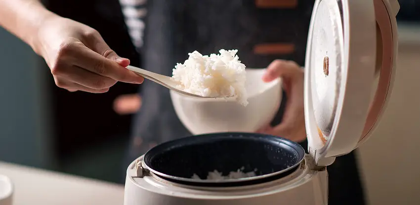 How to use Black and Decker rice cooker