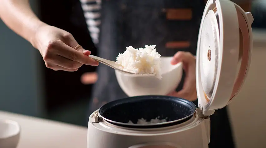 best sushi rice cookers