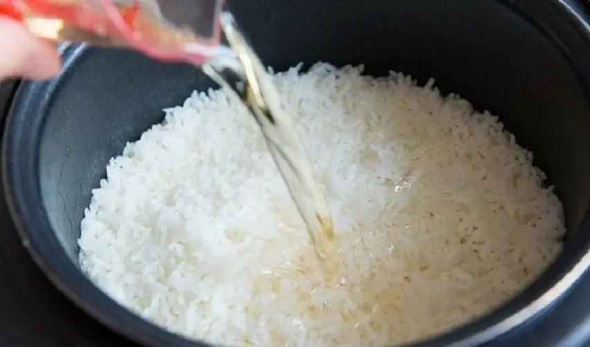 How to use Black and Decker rice cooker