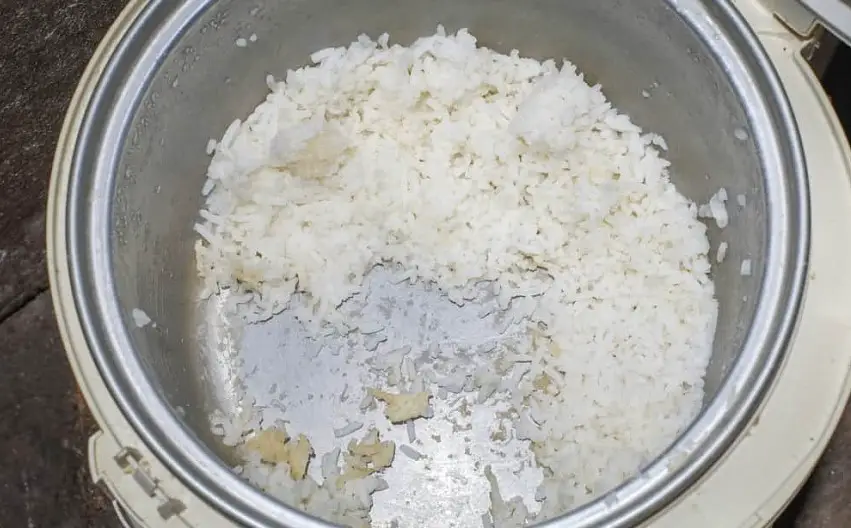 How to use Black and Decker rice cooker