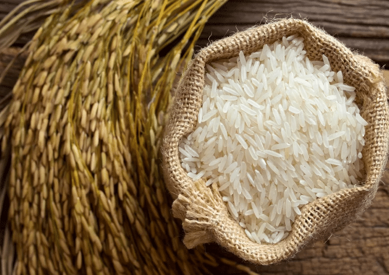 How to cook basmati rice in a rice cooker