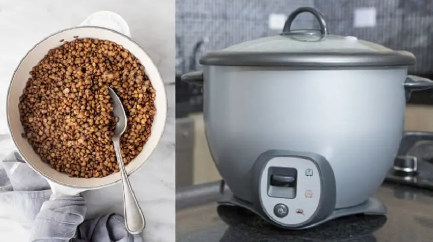 How to cook lentils in rice cooker