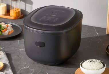 10 Best Asian Rice Cookers: Helpful Buying Guide & Review