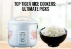 best tiger rice cooker
