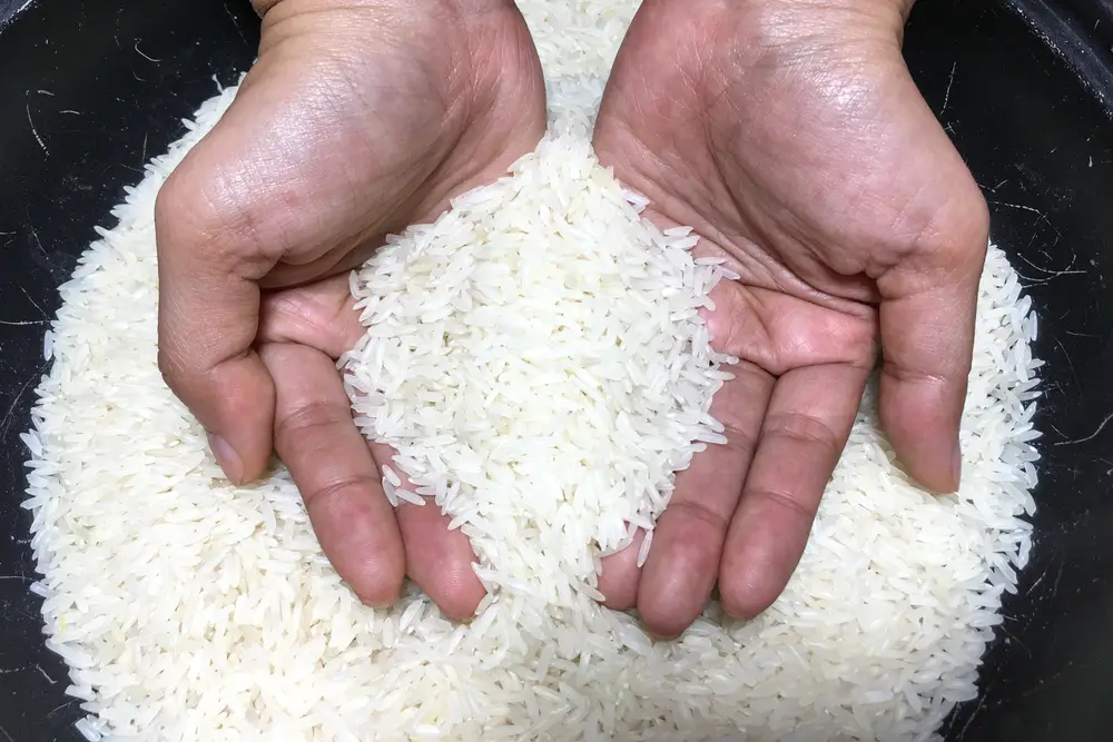 Uncooked Rice Smell Weird