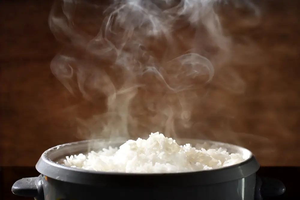 Why Cooked Rice Smells Weird