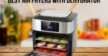 best air fryers with dehydrator