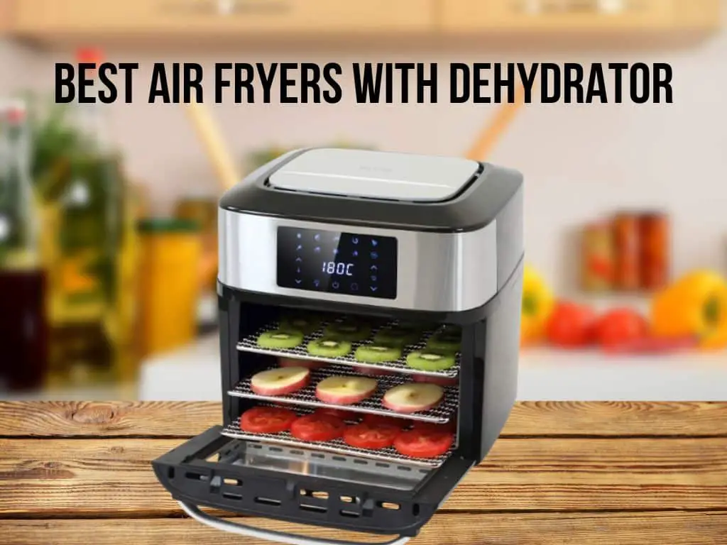 best air fryers with dehydrator