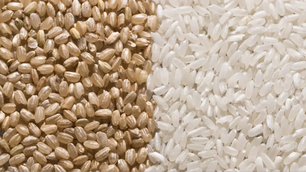 brown and white rice