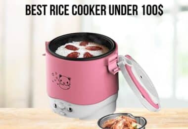 Best Rice Cooker Under 100
